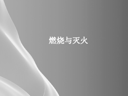 沪教上海版九年级化学上册4.1燃烧与灭火_6品质课件PPT