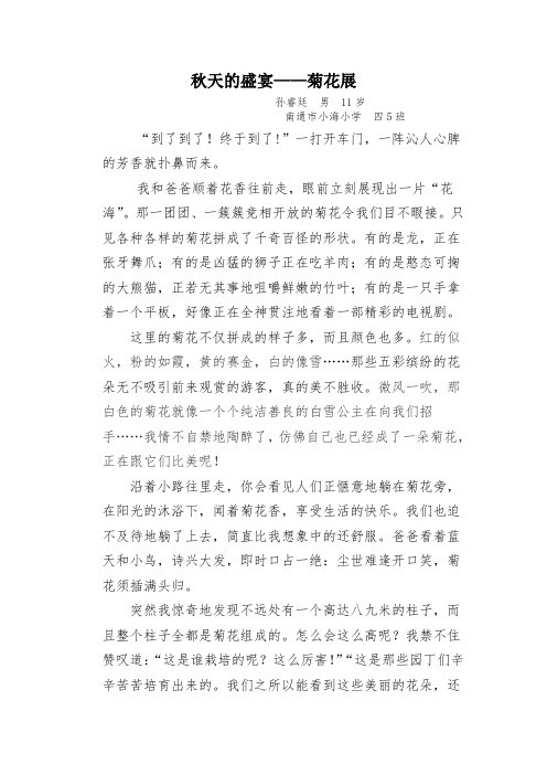 秋天的盛宴——菊花展