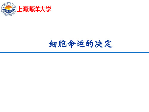 发育-细胞命运的决定