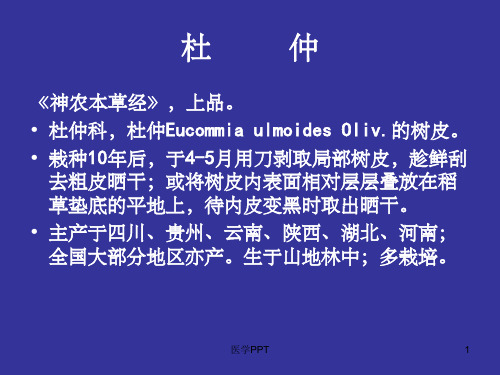 《皮类中药》PPT课件