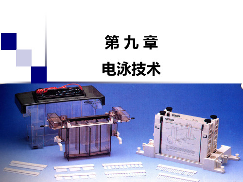 第9章电泳和电色谱PPT课件