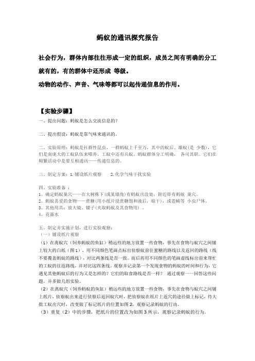 第二小组 探究蚂蚁的通讯实验