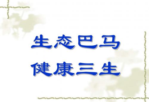 衡然睡疗系统招商版
