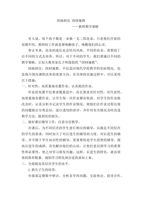 因地制宜 因材施教——教师教学策略