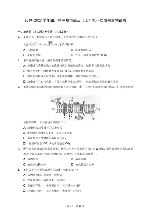 2019-2020学年四川省泸州市高三(上)第一次质检生物试卷 (含答案解析)