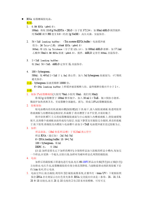 琼脂糖凝胶电泳 配方与步骤