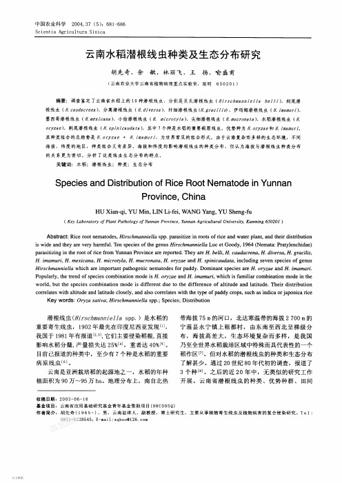 云南水稻潜根线虫种类及生态分布研究
