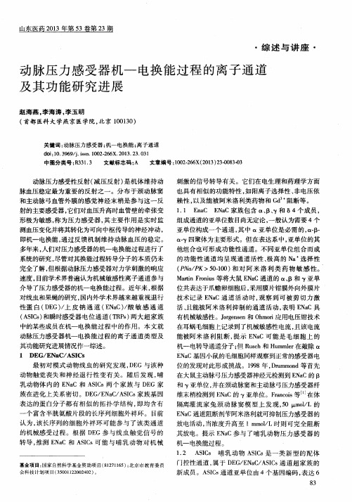 动脉压力感受器机—电换能过程的离子通道及其功能研究进展