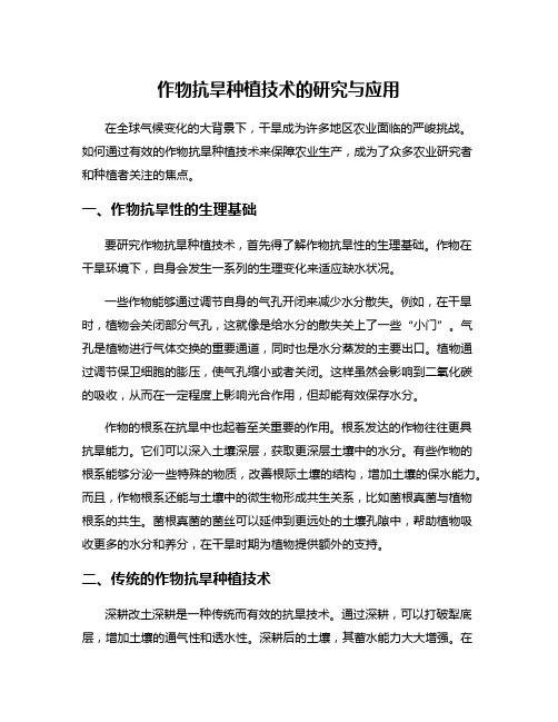 作物抗旱种植技术的研究与应用