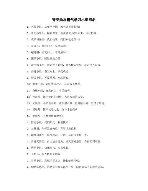 青春励志霸气学习小组组名