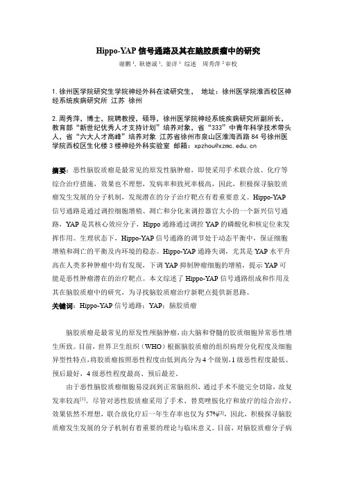 Hippo-YAP信号通路及其在脑胶质瘤中的研究 20151125