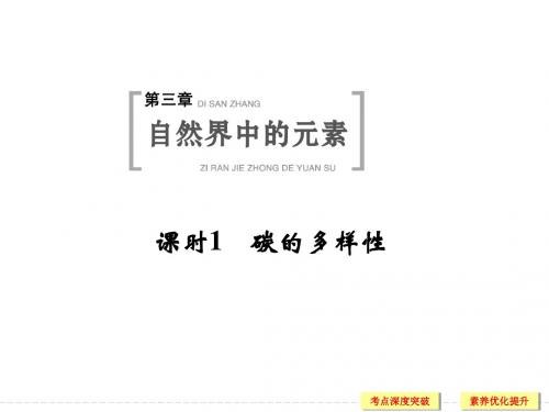 碳的多样性 鲁科版高中化学一轮复习PPT(配有doc练习)