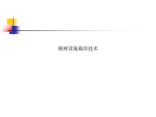 桃树设施栽培技术