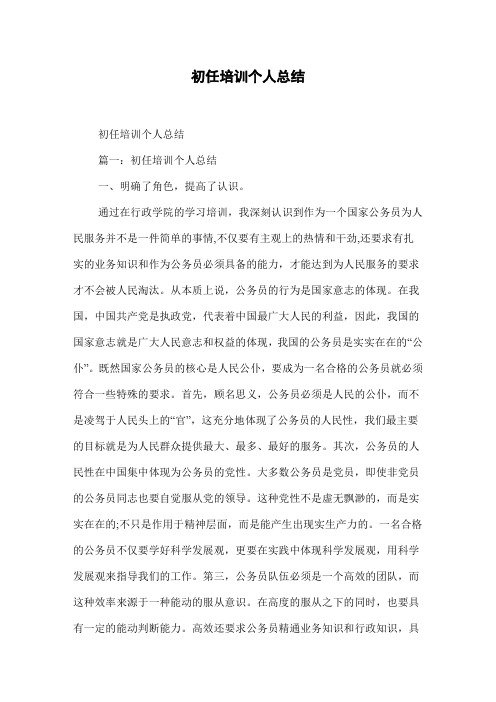 初任培训个人总结