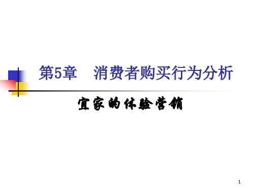 第5章  消费者购买行为分析