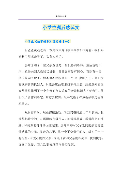 小学生观后感范文