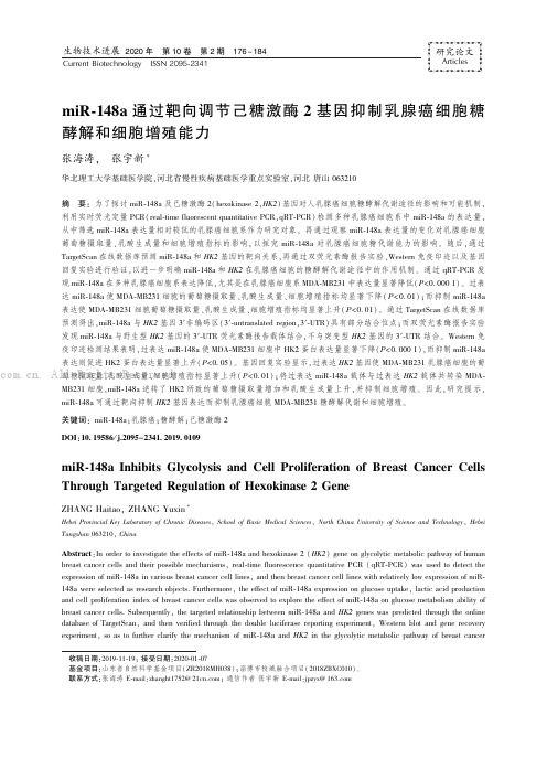 miR-148a 通过靶向调节己糖激酶2 基因抑制乳腺癌细胞糖酵解和细胞增殖能力