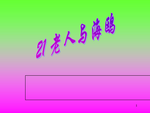 老人与海鸥1(1)PPT课件