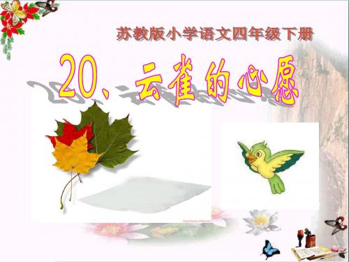 《云雀的心愿》 精品课件(共25张)