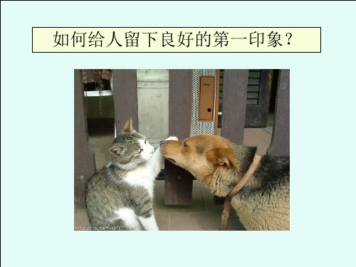 12、如何给人留下良好的第一印象
