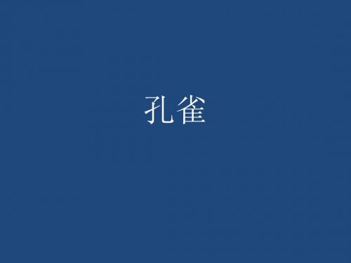 孔雀