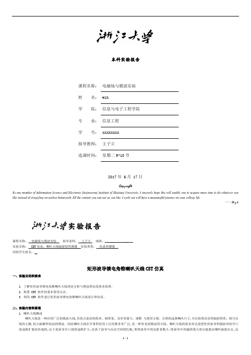 浙江大学-电磁场与电磁波实验(第二次).doc
