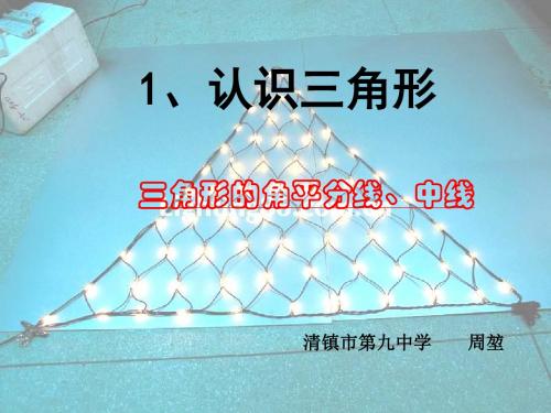 三角形的角平分线、中线[下学期]--北师大版-