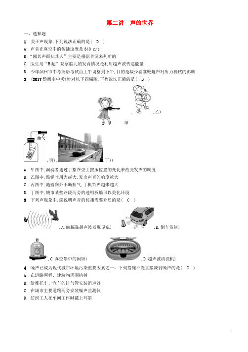 中考物理总复习第2讲声的世界精练