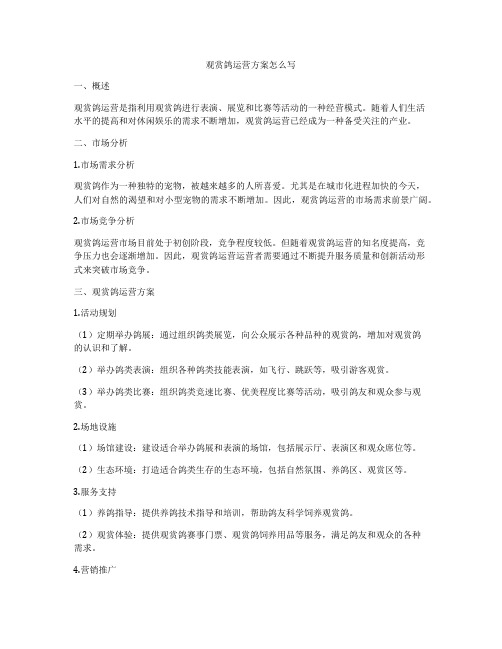 观赏鸽运营方案怎么写