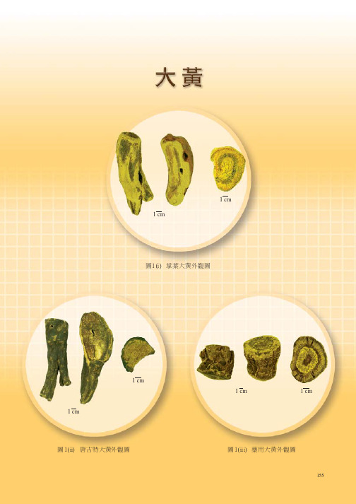 大黄