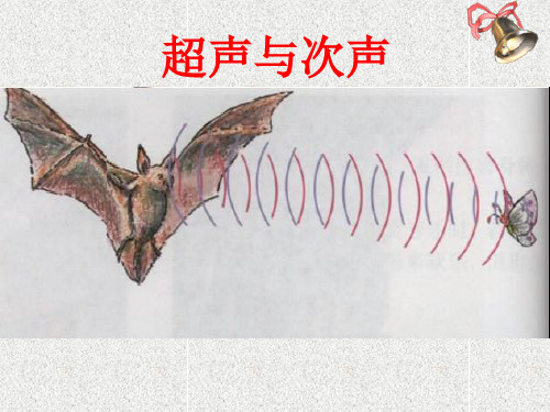 超声和次声波