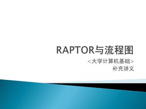 RAPTOR与流程图(PPT46页)汇编