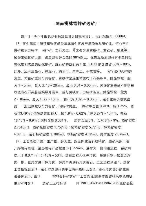 湖南桃林铅锌矿选矿厂