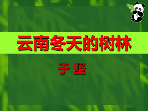 云南冬天的树林(李秋华)