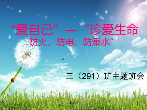 防火防电防溺水-主题班会  ppt课件