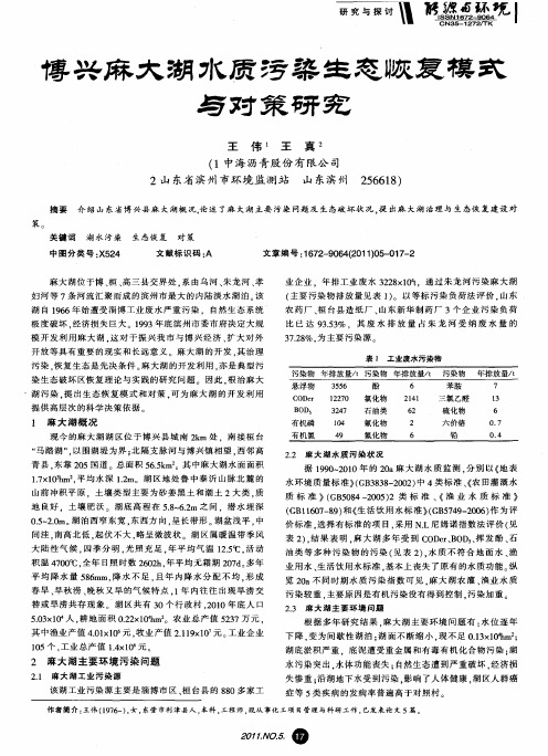 博兴麻大湖水质污染生态恢复模式与对策研究