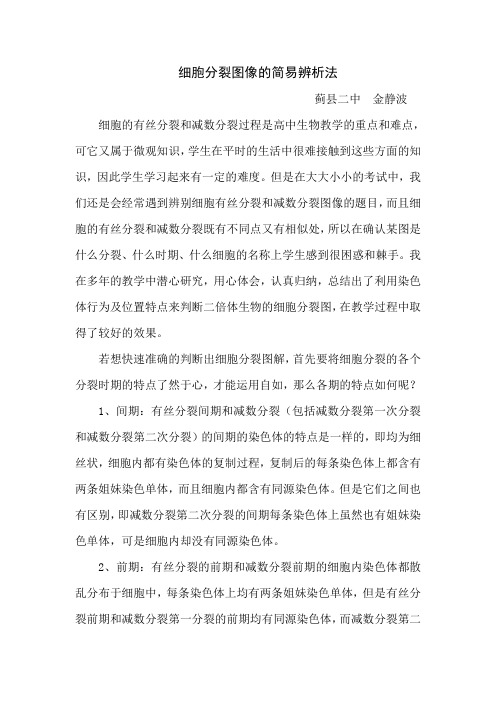 巧用共性与差异辨析细胞分裂图像