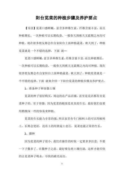 阳台苋菜的种植步骤及养护要点