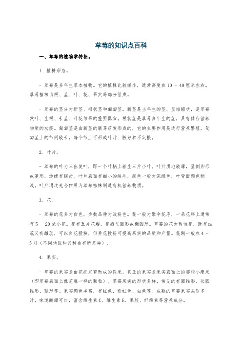 草莓的知识点百科