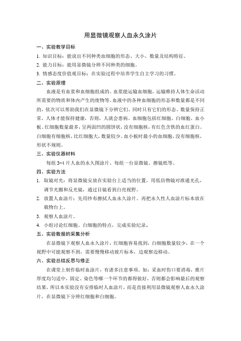 用显微镜观察人血永久涂片