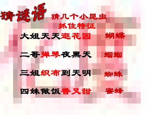 23《绿色的蝈蝈》(1)