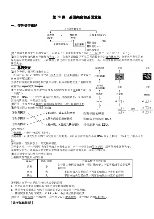 2.5基因突变基因重组和染色体变异