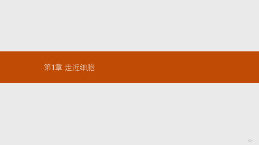 高中生物人教版必修一 第1章第1节 从生物圈到细胞 课件PPT