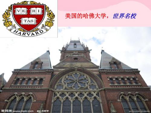 山东省2015年高中历史 第9课 北美大陆上的新体制课件27 岳麓版必修1
