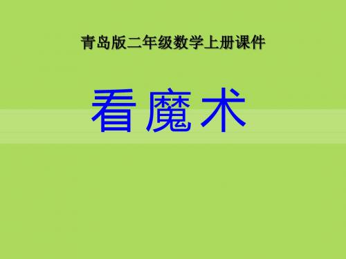 看魔术 PPT优秀课件