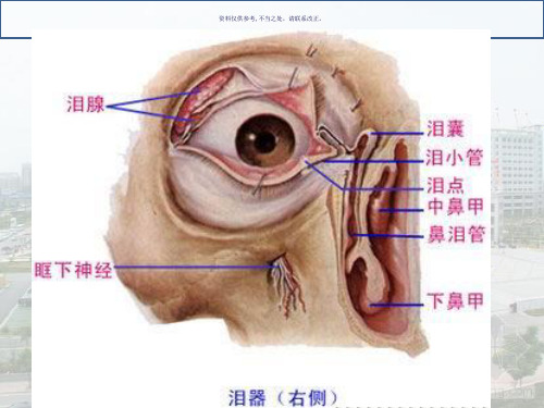 泪道的应用解剖