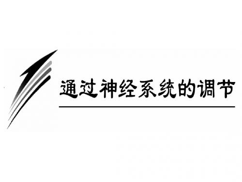 必修3 2-1 通过神经系统的调节(11版)
