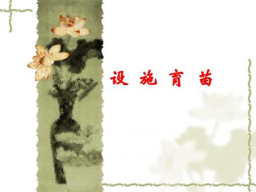 设施育苗-各种育苗技术培训