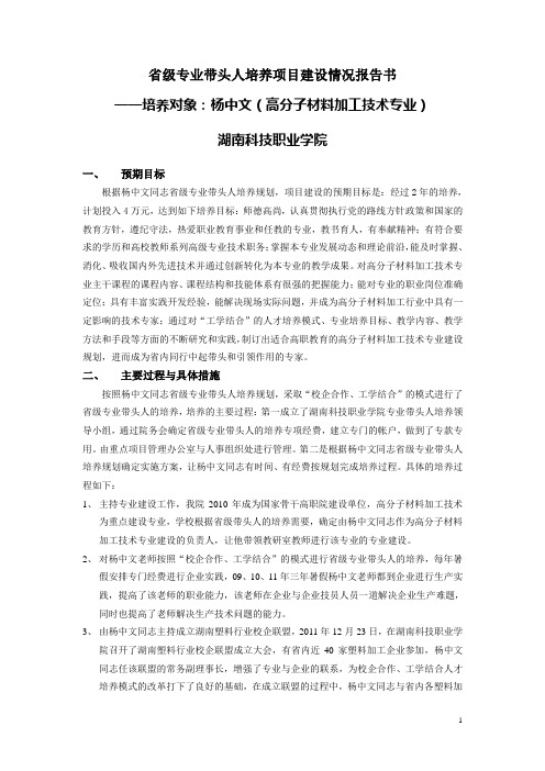 省级专业带头人培养情况报告书修改稿