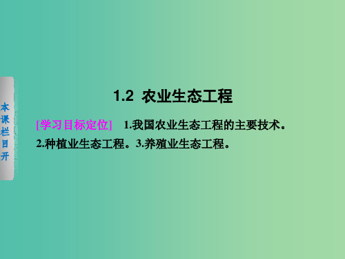 高中生物 1.2 农业生态工程课件 北师大版选修3